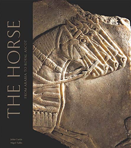 Horses in the Middle East and Beyond (9780714111834) by Curtis, John