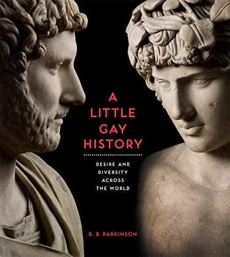 Beispielbild fr A Little Gay History: Desire and Diversity Across the World zum Verkauf von medimops