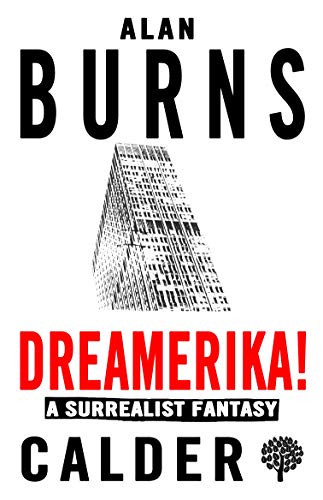 Stock image for Dreamerika!: A Surrealist Fantasy for sale by BookOutlet