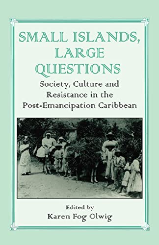 Stock image for Small Islands, Large Questions: Society, Culture and Resistance in the Post-Emancipation Caribbean for sale by ThriftBooks-Dallas