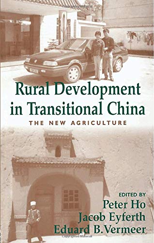 Stock image for Rural Development in Transitional China for sale by Blackwell's