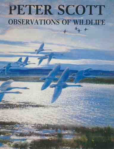 Peter Scott Observations of Wildlife (9780714824376) by [???]