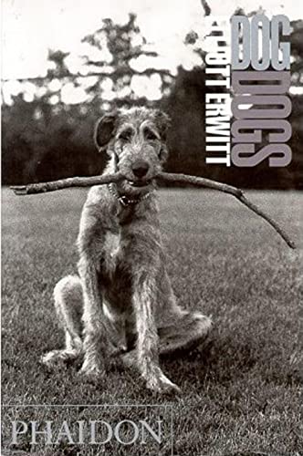 Imagen de archivo de Dog Dogs a la venta por HPB-Diamond