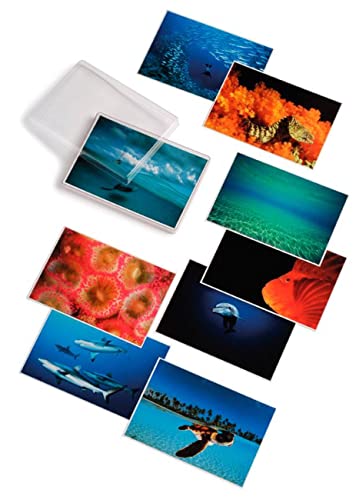 9780714842271: Water light time postcards (STATIONERY)