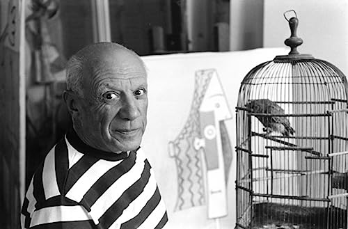 Pablo Picasso, Villa la Californie, Cann: RenÃ© Burri Photographs (9780714844176) by [???]