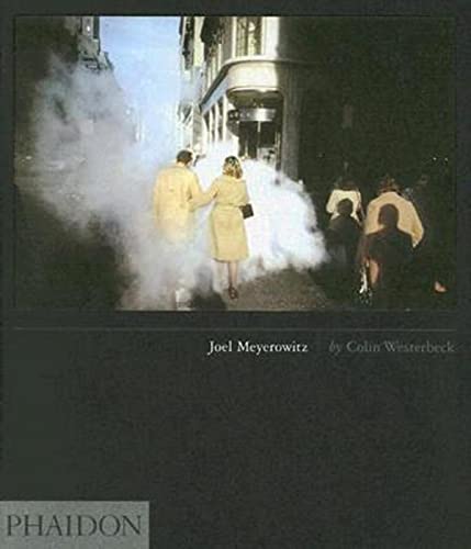 Stock image for Joel Meyerowitz (55s) for sale by Book Deals