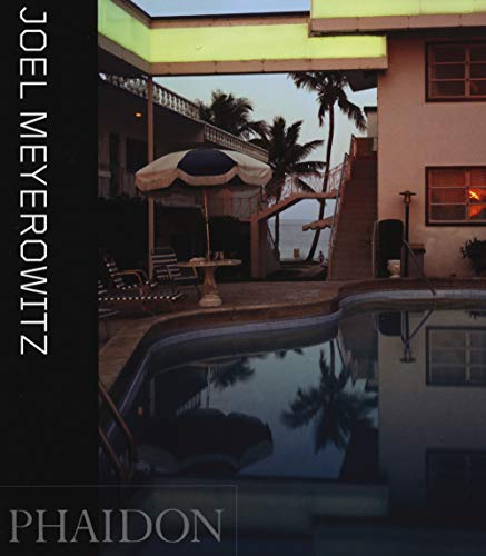 Imagen de archivo de Joel Meyerowitz a la venta por Wizard Books