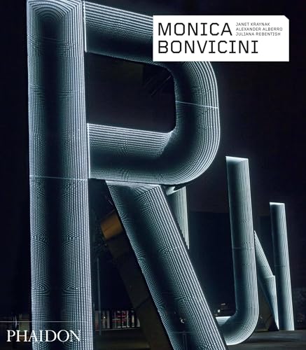 Beispielbild fr Monica Bonvicini (Phaidon Contemporary Artists Series) zum Verkauf von Hay-on-Wye Booksellers