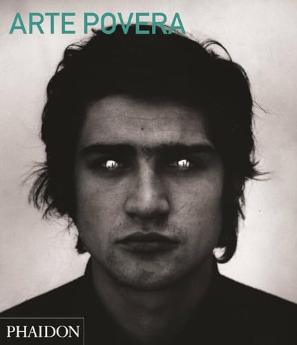 9780714868592: Arte povera: Abridged Edition: 0000