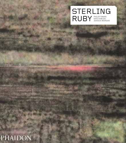 Imagen de archivo de Sterling Ruby (Phaidon Contemporary Artist Series) a la venta por Books Unplugged