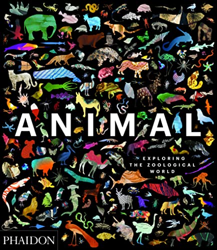 Stock image for Animal: Exploring the Zoological World for sale by Revaluation Books