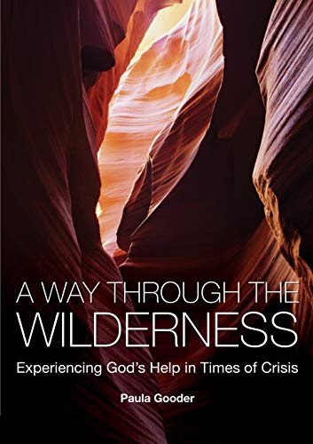 Imagen de archivo de A Way Through the Wilderness: Experiencing God's Help in Times of Crisis a la venta por GF Books, Inc.