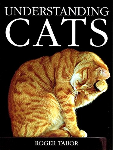 Stock image for Understanding Cats for sale by WorldofBooks