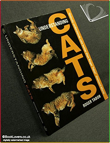 Beispielbild fr Understanding Cats zum Verkauf von WorldofBooks