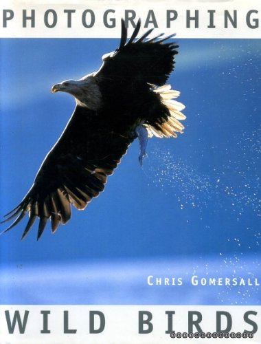 Beispielbild fr Photographing Wild Birds zum Verkauf von WorldofBooks