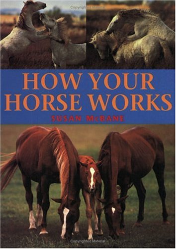 Beispielbild fr How Your Horse Works zum Verkauf von Once Upon A Time Books