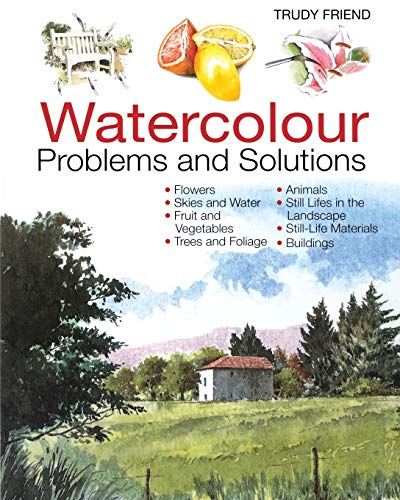 Stock image for Watercolor Problems and Solutions: A Trouble-Shooting Handbook for sale by AwesomeBooks