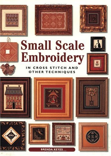 Imagen de archivo de Small Scale Embroidery: In Cross Stitch and Other Techniques a la venta por HPB-Diamond