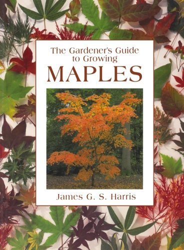 9780715316917: Gardener's Guide to Growing Maples