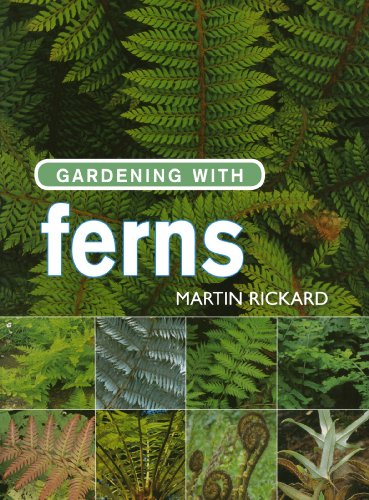 Beispielbild fr Gardening with Ferns zum Verkauf von WorldofBooks