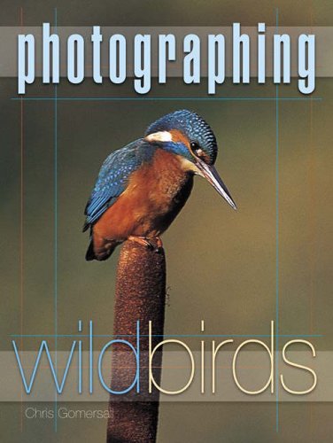 Stock image for Photographing Wild Birds for sale by Brit Books