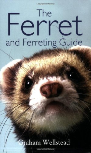 Stock image for THE FERRET AND FERRETING GUIDE. By Graham Wellstead. for sale by Coch-y-Bonddu Books Ltd