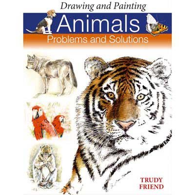 Stock image for Draw & Paint Animals: Problems & Solutions: Problems and Solutions for sale by WorldofBooks