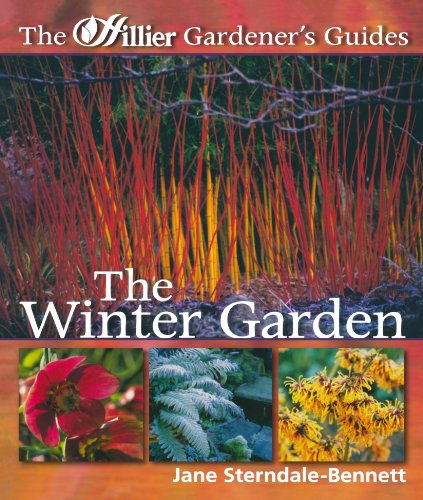 Beispielbild fr The Winter Garden (Hillier Gardener's Guide) zum Verkauf von AwesomeBooks