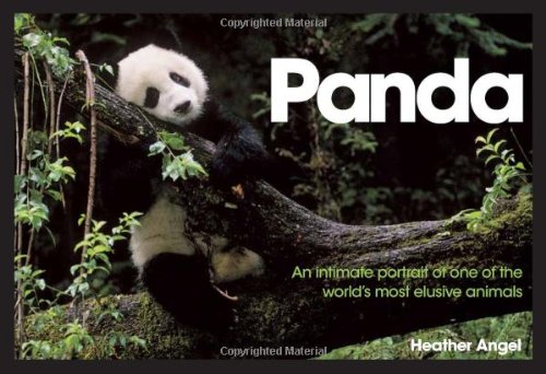 Beispielbild fr Panda : An Intimate Portrait of One of the World's Most Elusive Animals zum Verkauf von Better World Books