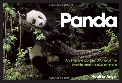 Stock image for Panda: An Intimate Portrait of One of the World's Most Elusive Animals for sale by ThriftBooks-Atlanta