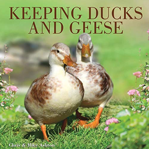 Beispielbild fr Keeping Ducks and Geese zum Verkauf von BooksRun