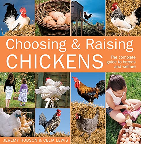 Beispielbild fr Choosing & Raising Chickens: The Complete Guide to Breeds and Welfare zum Verkauf von WorldofBooks