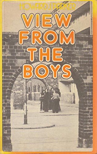 Stock image for View from the Boys: Sociology of Downtown Adolescents (People, Plans & Problems S.) for sale by WorldofBooks