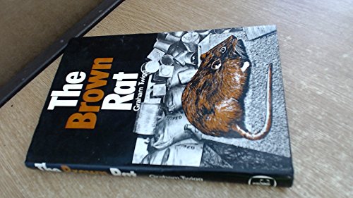 The Brown Rat