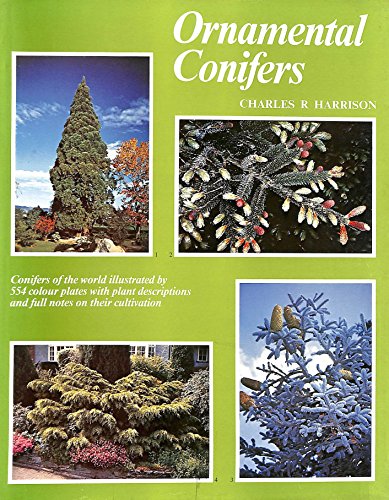 Beispielbild fr Ornamental Conifers zum Verkauf von AwesomeBooks