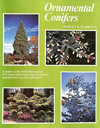 Stock image for Ornamental Conifers for sale by Bahamut Media