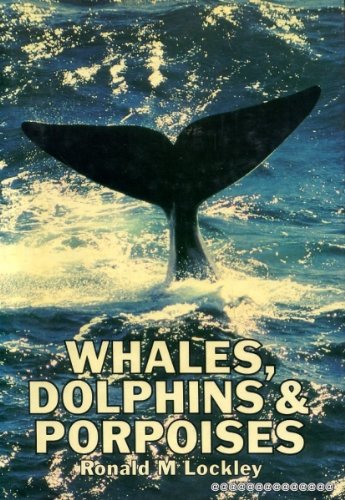 Stock image for Whales, Dolphins and Porpoises for sale by WorldofBooks