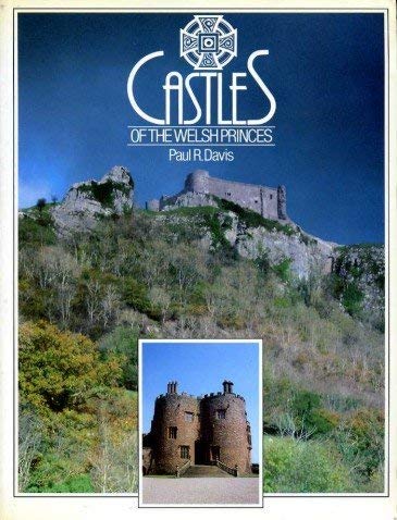 Stock image for Castles of the Welsh Princes for sale by WorldofBooks