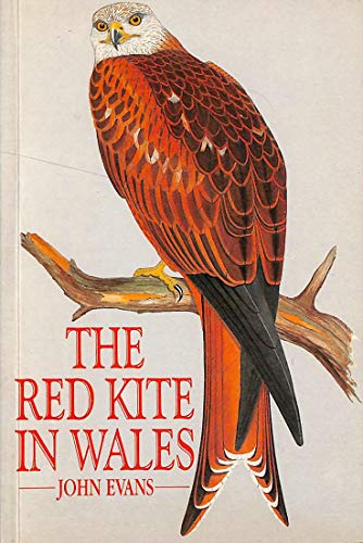 Imagen de archivo de The Red Kite in Wales a la venta por WorldofBooks