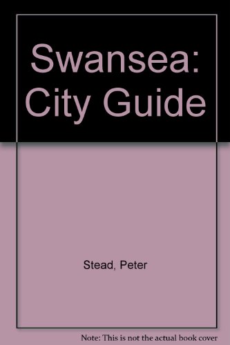 Beispielbild fr Swansea: City Guide zum Verkauf von Goldstone Books