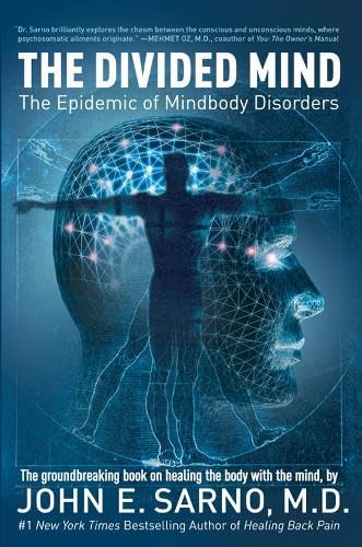 Beispielbild fr The Divided Mind: The Epidemic of Mindbody Disorders zum Verkauf von GF Books, Inc.