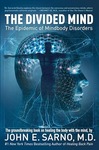 Stock image for The Divided Mind: The Epidemic of Mindbody Disorders for sale by MusicMagpie