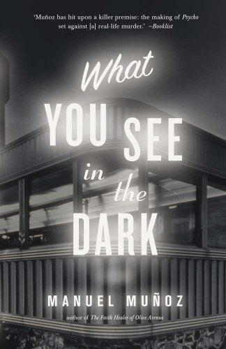 Beispielbild fr What You See In The Dark zum Verkauf von WorldofBooks