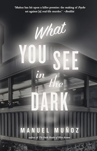 Stock image for What You See In The Dark for sale by WorldofBooks