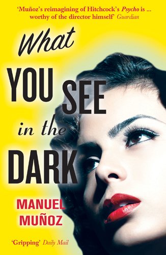 Imagen de archivo de What You See in the Dark a la venta por WorldofBooks
