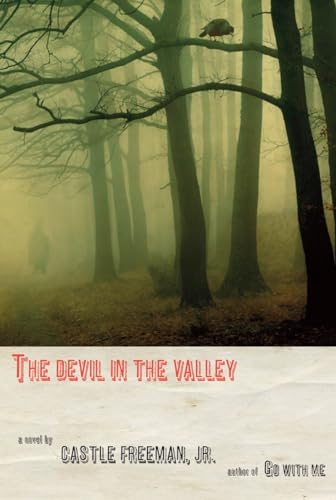 Stock image for The Devil in the Valley for sale by WorldofBooks