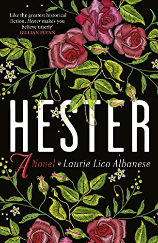 Imagen de archivo de Hester: a bewitching tale of desire and ambition a la venta por WorldofBooks