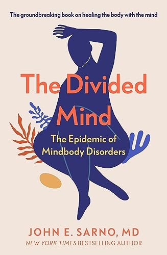 Stock image for The Divided Mind for sale by Blackwell's