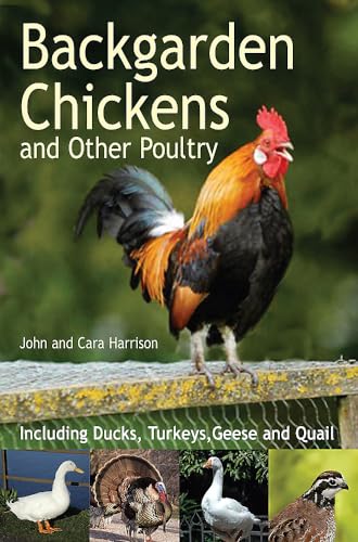 Imagen de archivo de Backgarden Chickens and Other Poultry a la venta por Blackwell's