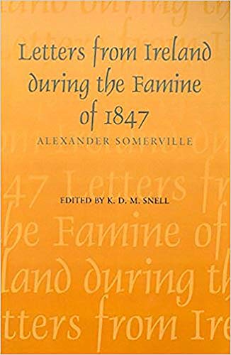 Imagen de archivo de Letters from Ireland During the Famine of 1847 a la venta por Bibliomadness